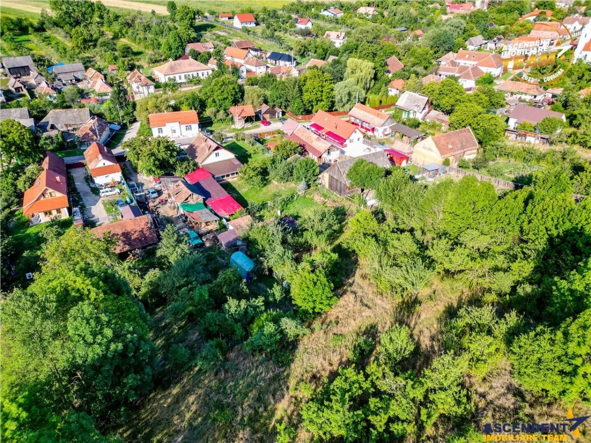 FILM!Areal apreciabil,casa+domeniu de 3.500mp,Sancraiu,vecin Sfantu Gheorghe si de Brasov - foto 10