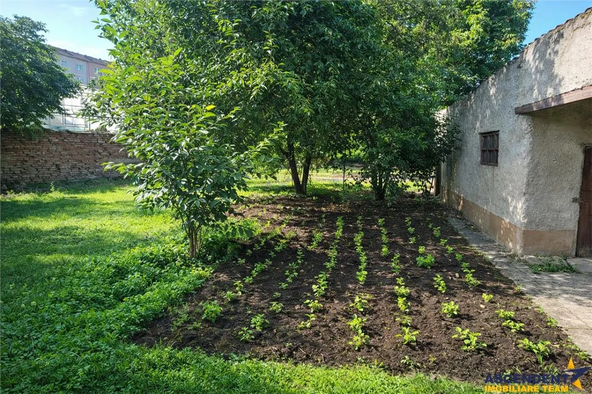 Rezidenta cu curte si gradina proprie,1.000 mp teren, Prejmer, Brasov - foto 4