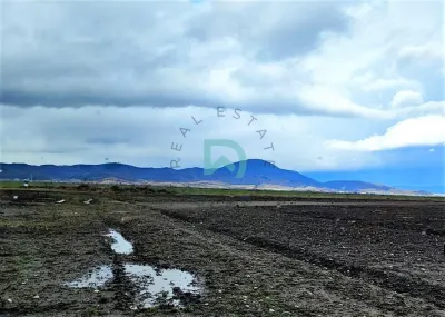 Teren Agricol, Cristian - foto 7