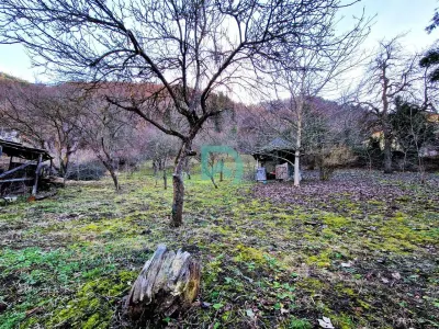Casa de vanzare  Brasov - foto 10