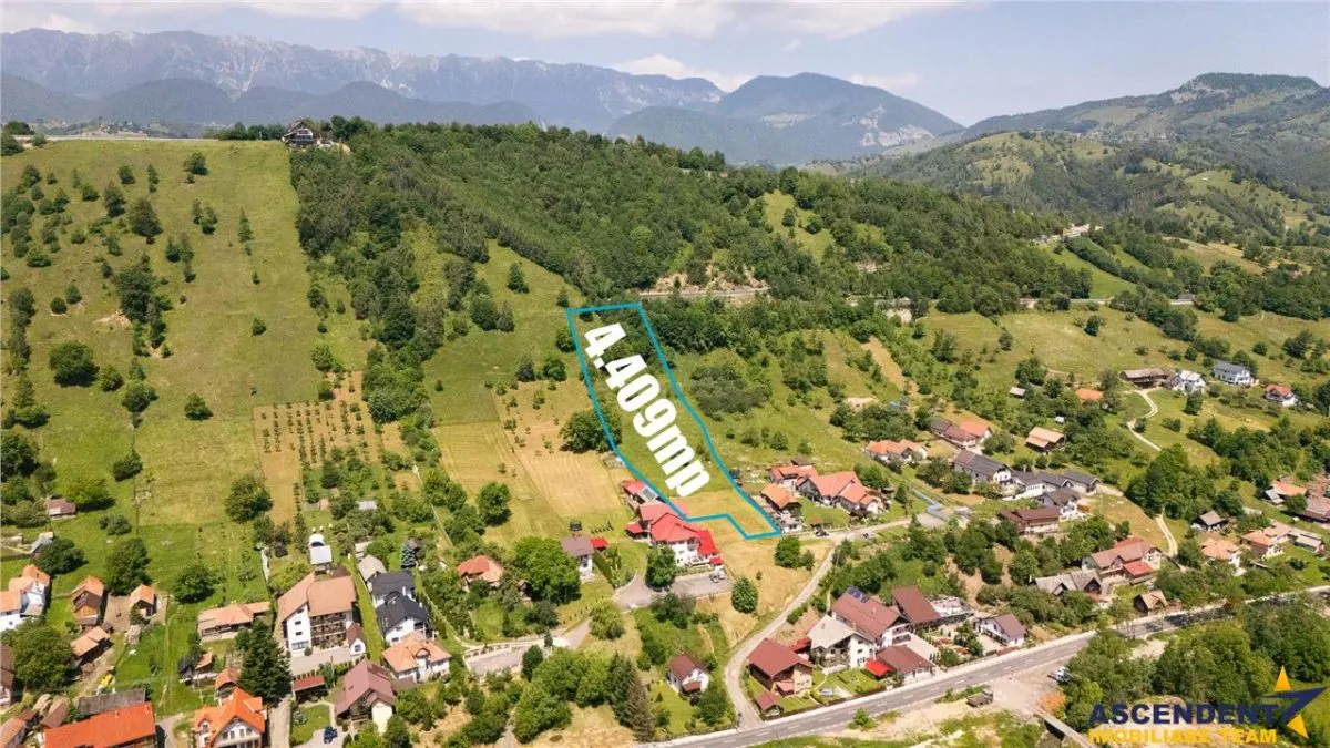 Deschidere spre crestele alpine+ documentatie turistica,4.400 mp de inspiratie naturala - foto 3
