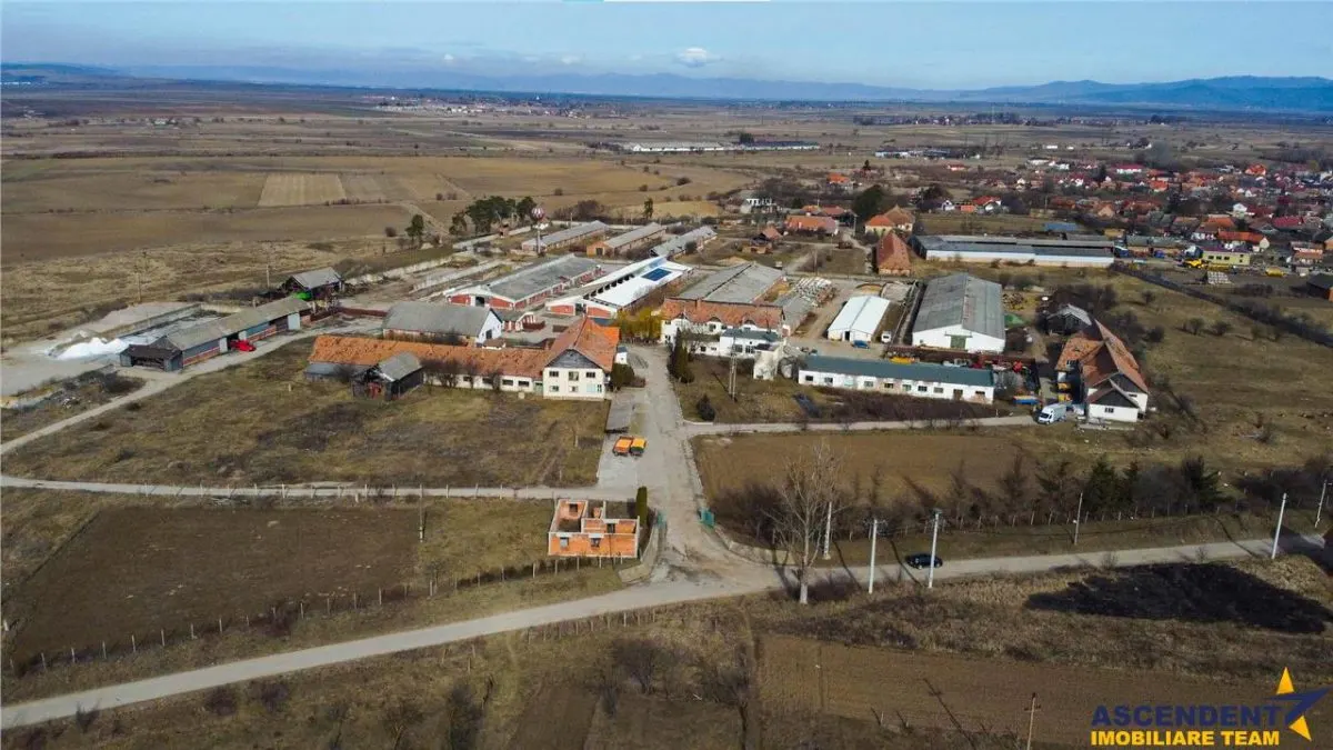Ansamblu agrozootehnic cu renume,dotat +valoare exceptionala+potential versatil, Covasna - foto 1