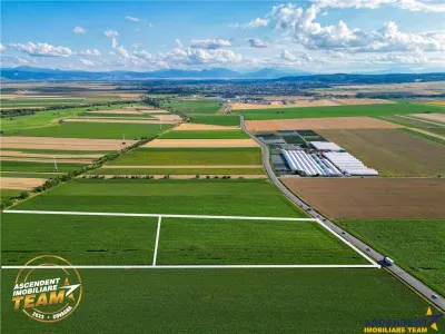 FILM! 30.200 mp teren intravilan,recomandat: investitie/exploatare agricola,Valea Crisului - Valea Crisului