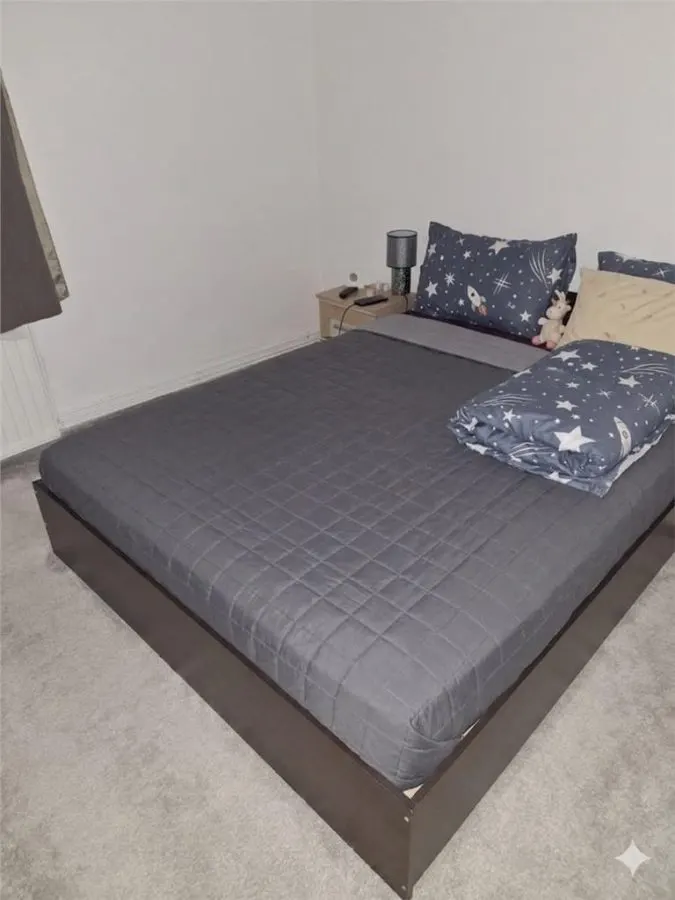Apartament 2 Camere Tudor Renovat Mobilat Zona cu Spatiu Verde - foto 6