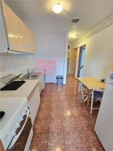 Apartament 1 camera de inchiriat, Nicolina (Lidl) - foto 5