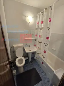 Apartament 1 camera de inchiriat, Nicolina (Lidl) - foto 8