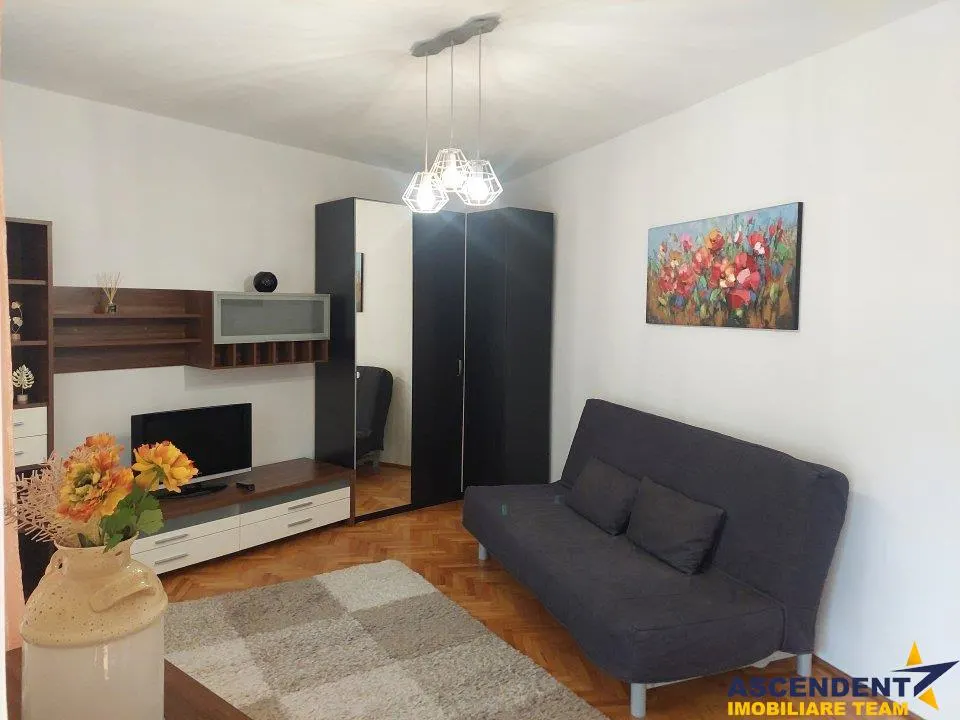 Garsoniera, priveliste frumoasa, pet friendly, loc parcare, Schei,Brasov - foto 7