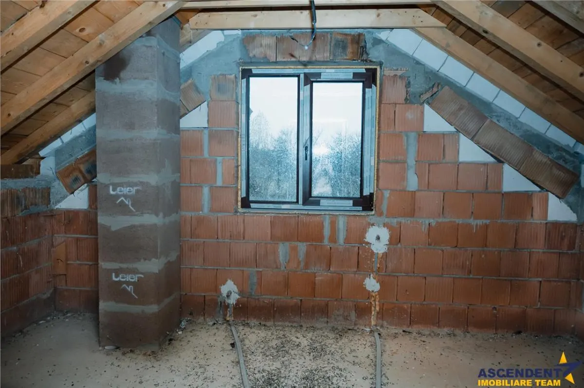 FILM! Domeniu de 5.000mp +Casa, in Berchez:o bijuterie ascunsa a Maramuresului - foto 15