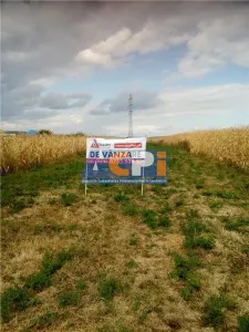 Teren, Traian Bacau - Bacau