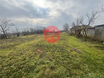 Casa de vÃ¢nzare Ã®n Plopul, Tulcea â€“ aproape de Delta Dunarii - foto 7