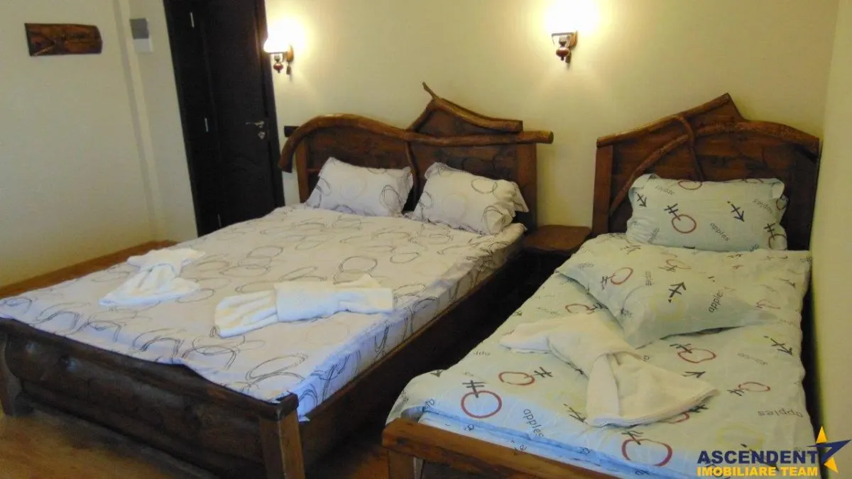 Ansamblu Hotelier & Rezidential/ Investitional, Clasificat, Bran, Brasov - foto 6