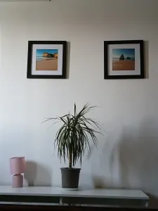 Apartament 3 camere zona Victoriei-Titulescu - foto 11