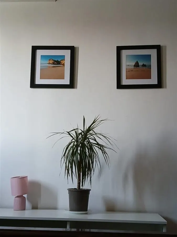 Apartament 3 camere zona Victoriei-Titulescu - foto 11