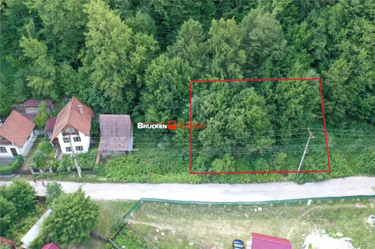 TEREN INTRAVILAN CONSTRUIBIL â€“ 400 mp | Statiunea Boga, com. Pietroasa, jud. Bihor - foto 2