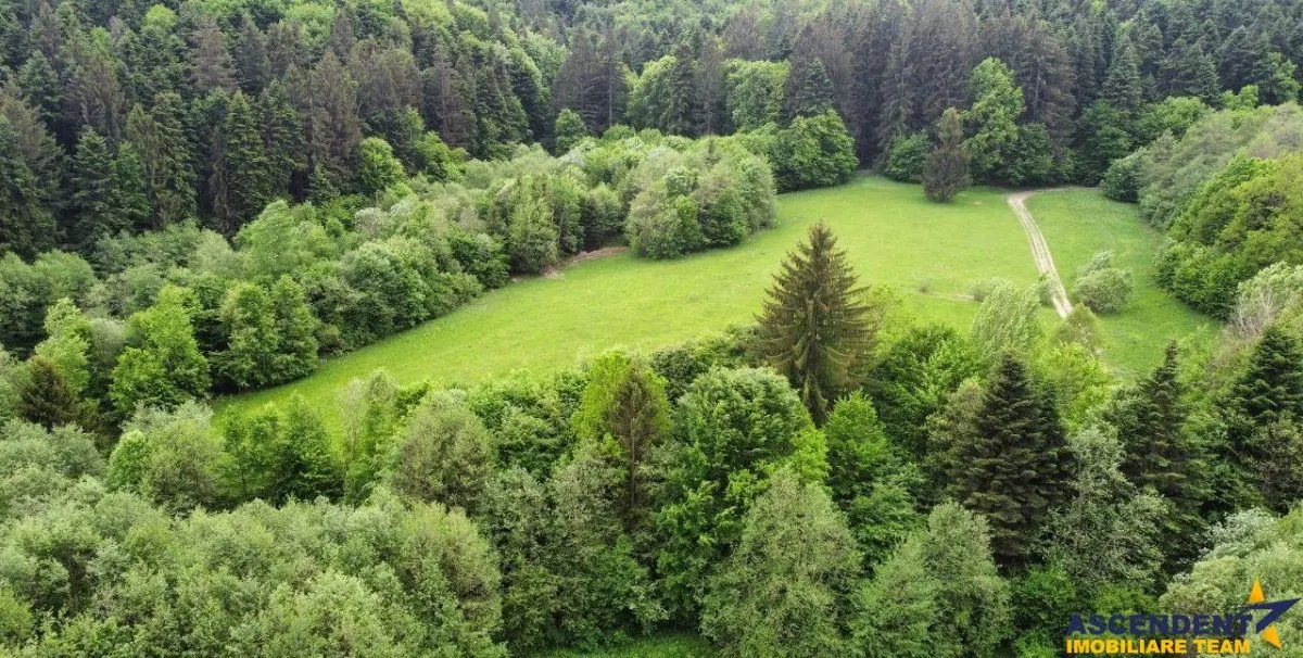 Teren intravilan, 20,000 mp, Vulcan - foto 1