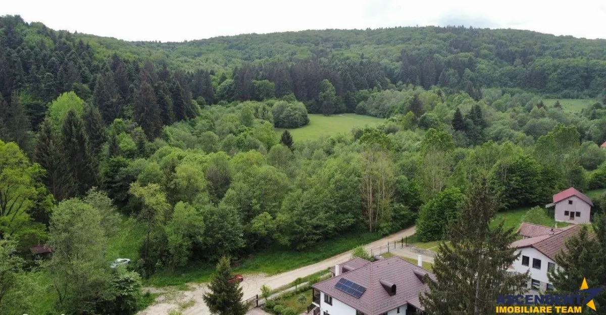 Teren intravilan, 20,000 mp, Vulcan - foto 2