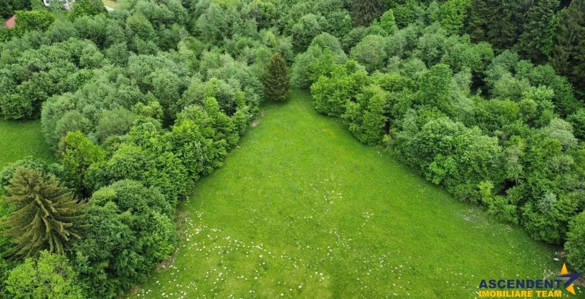 Teren intravilan, 20,000 mp, Vulcan - foto 4