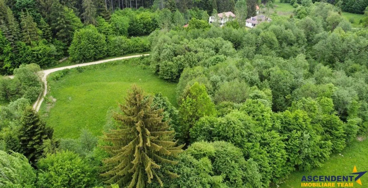 Teren intravilan, 20,000 mp, Vulcan - foto 5