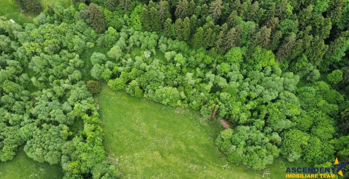 Teren intravilan, 20,000 mp, Vulcan - foto 6