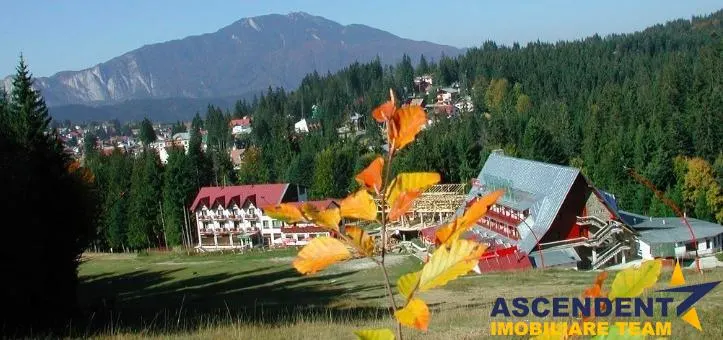 9.000mp teren intravilan, configuratie frumoasa, Cioplea, Predeal, Brasov - foto 1