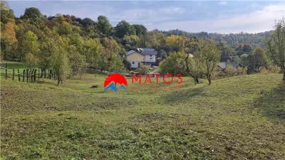 Teren intravilan 2918 mp de vânzare Talea, Prahova | 0% comision - foto 6