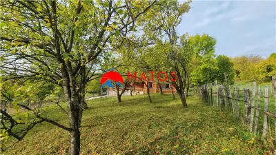 Teren intravilan 2918 mp de vânzare Talea, Prahova | 0% comision - foto 7