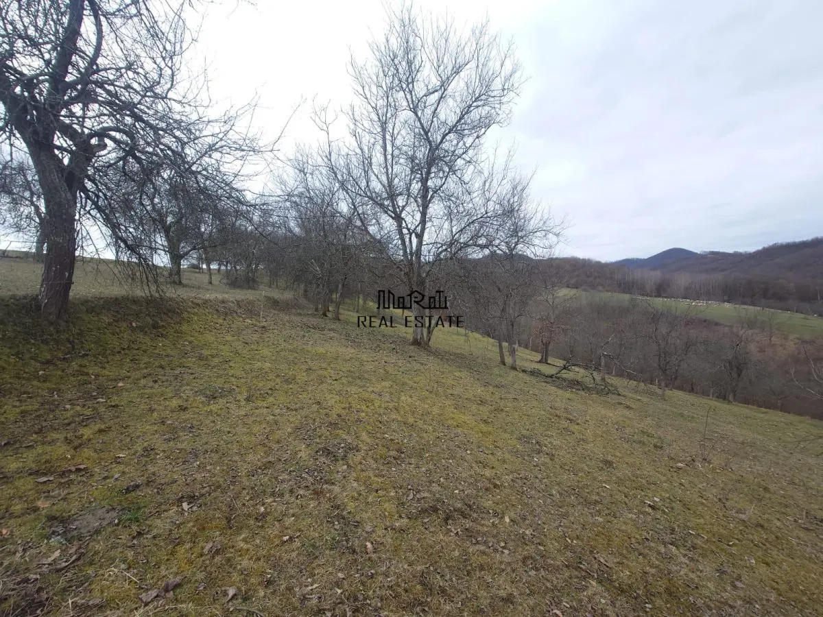Teren intravilan si extravilan Luncoiu de Jos - foto 11
