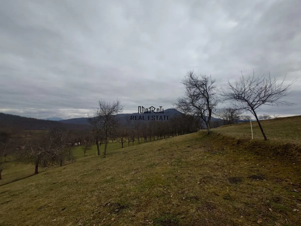 Teren intravilan si extravilan Luncoiu de Jos - foto 12