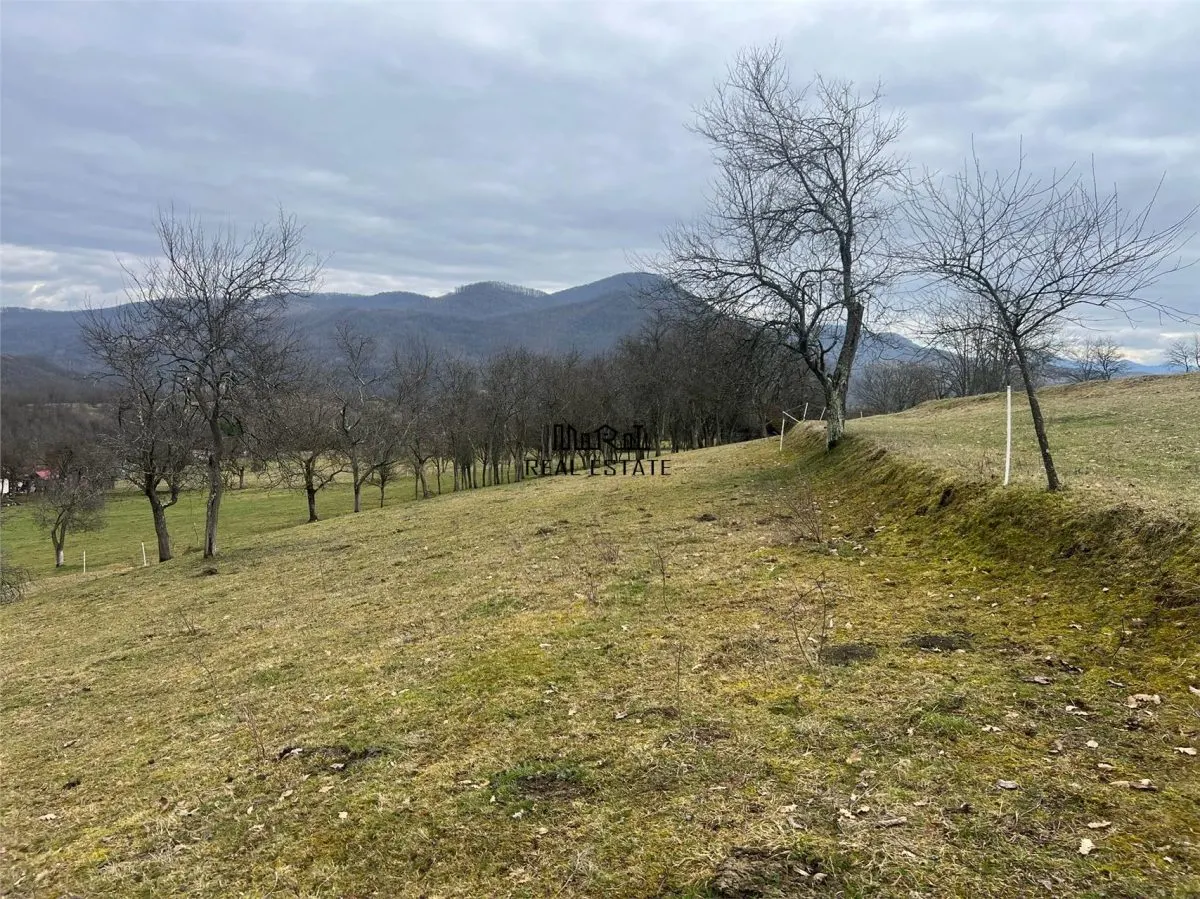 Teren intravilan si extravilan Luncoiu de Jos - foto 3