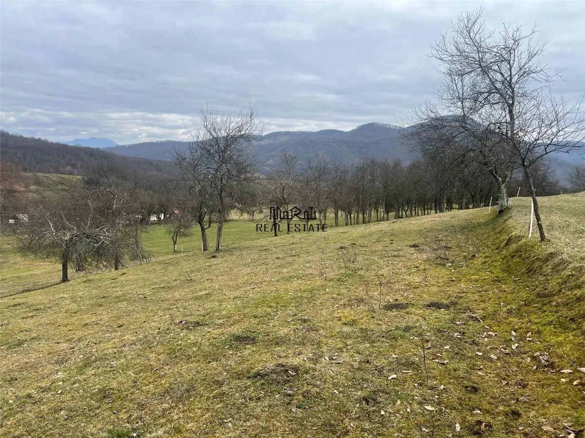 Teren intravilan si extravilan Luncoiu de Jos - foto 5
