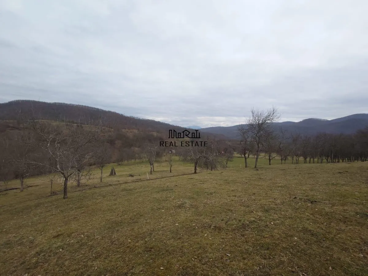 Teren intravilan si extravilan Luncoiu de Jos - foto 9