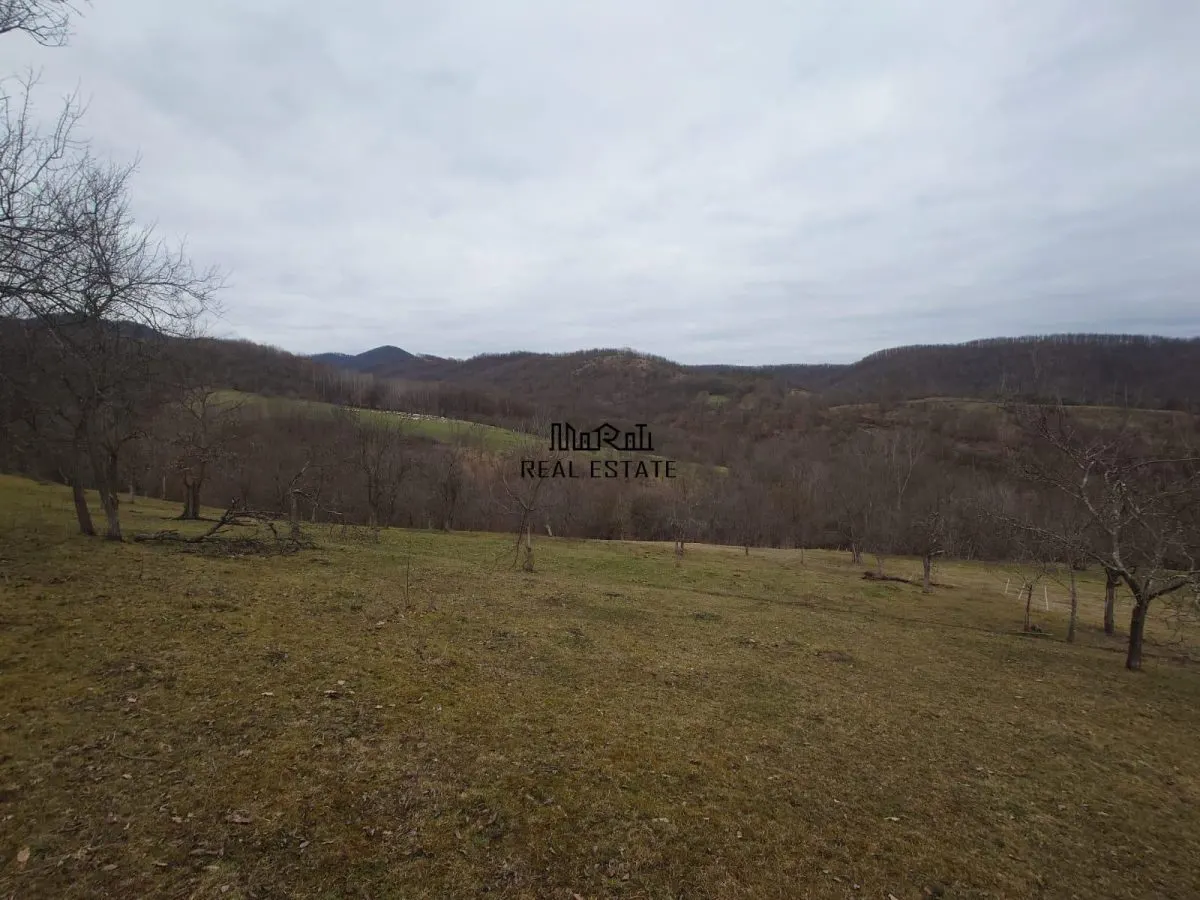 Teren intravilan si extravilan Luncoiu de Jos - foto 10