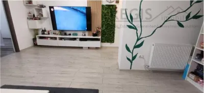 Apartament cochet cu 2 camere Tractoru - foto 4