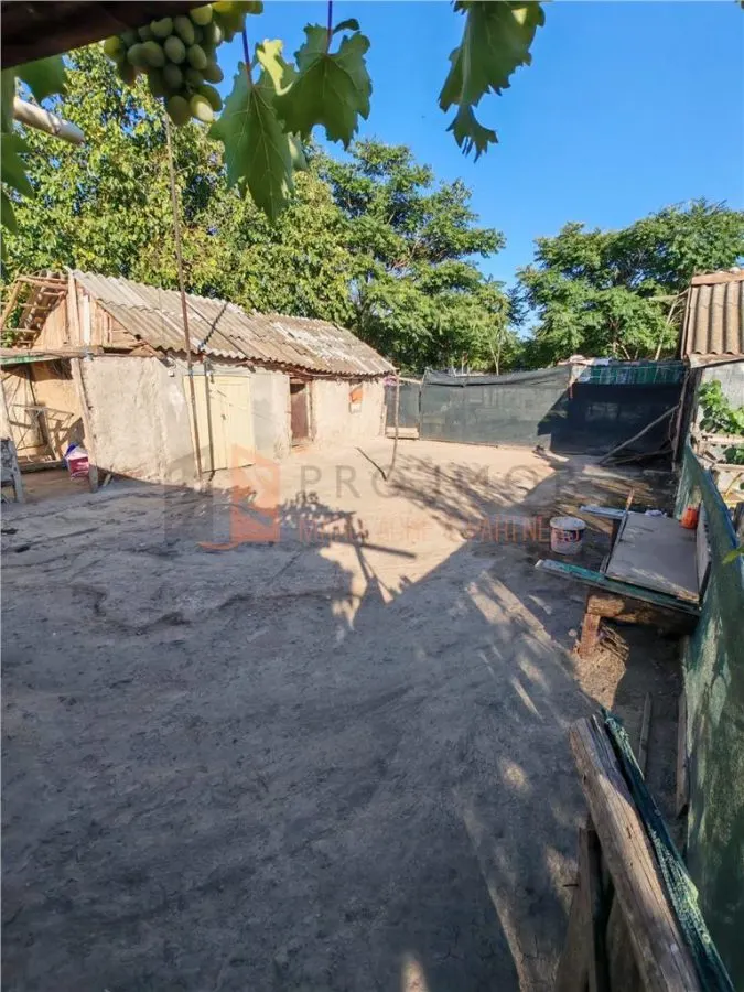Casa tip parter + teren zona Maxenu - foto 12