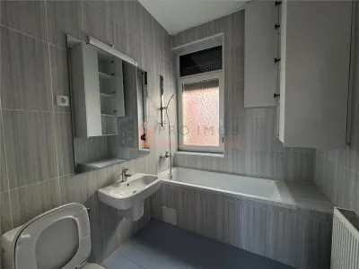 Casa sau Spatiu comercial  in zona magazinelor satesti - foto 14