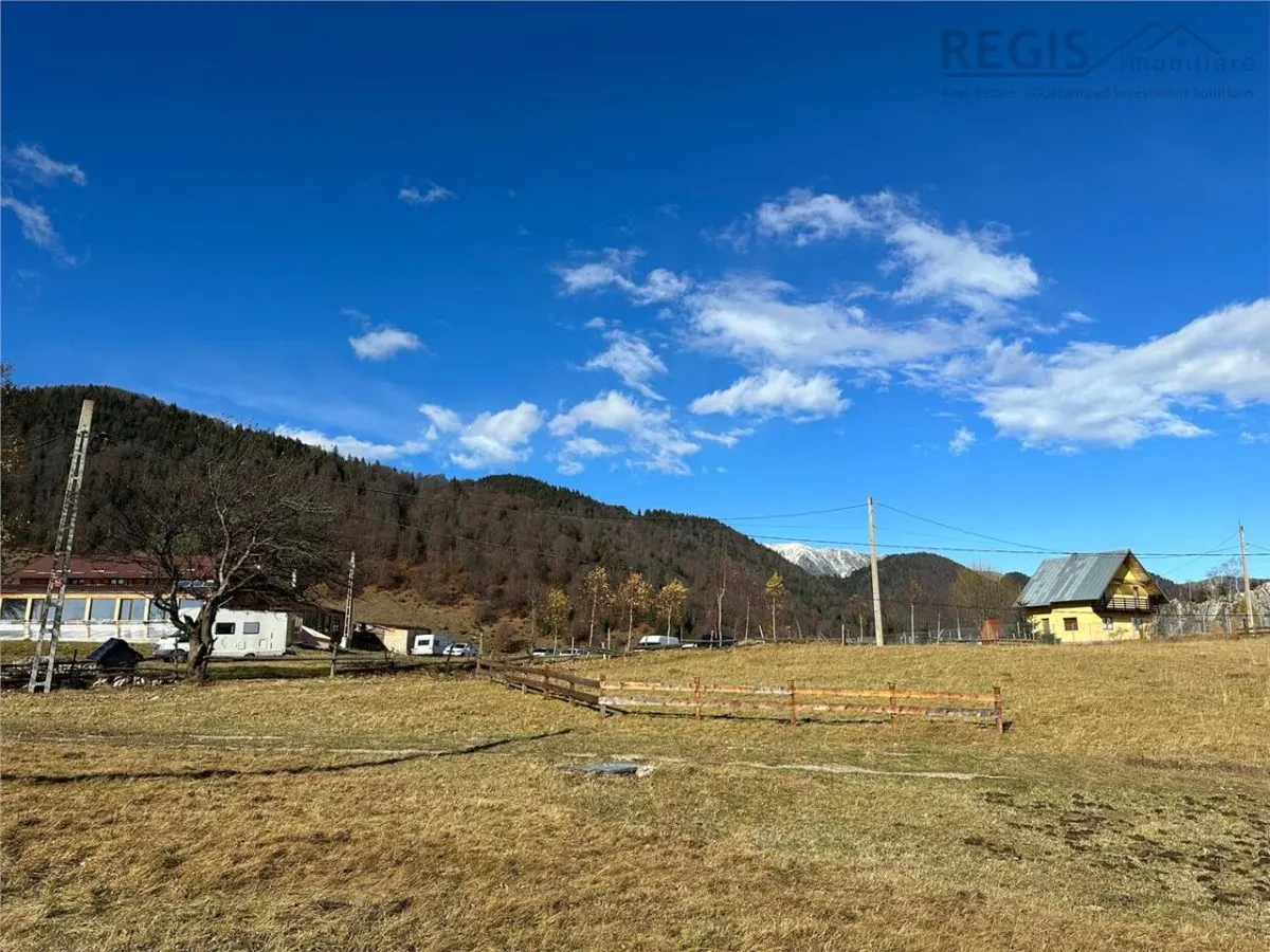 TEREN INTRAVILAN SIRNEA/ 4000 MP/ - foto 3