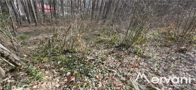 Tere intravilan de vanzare in Sinaia - foto 2