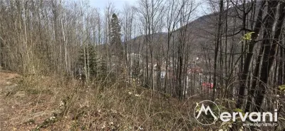 Tere intravilan de vanzare in Sinaia - foto 3