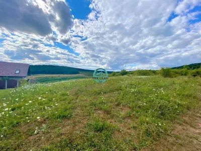 Vand teren intravilan cu suprafata 3300 mp in Livezeni - Targu Mures