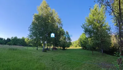 TEREN DE VANZARE DEJANI ZONA TURISTICA - foto 4