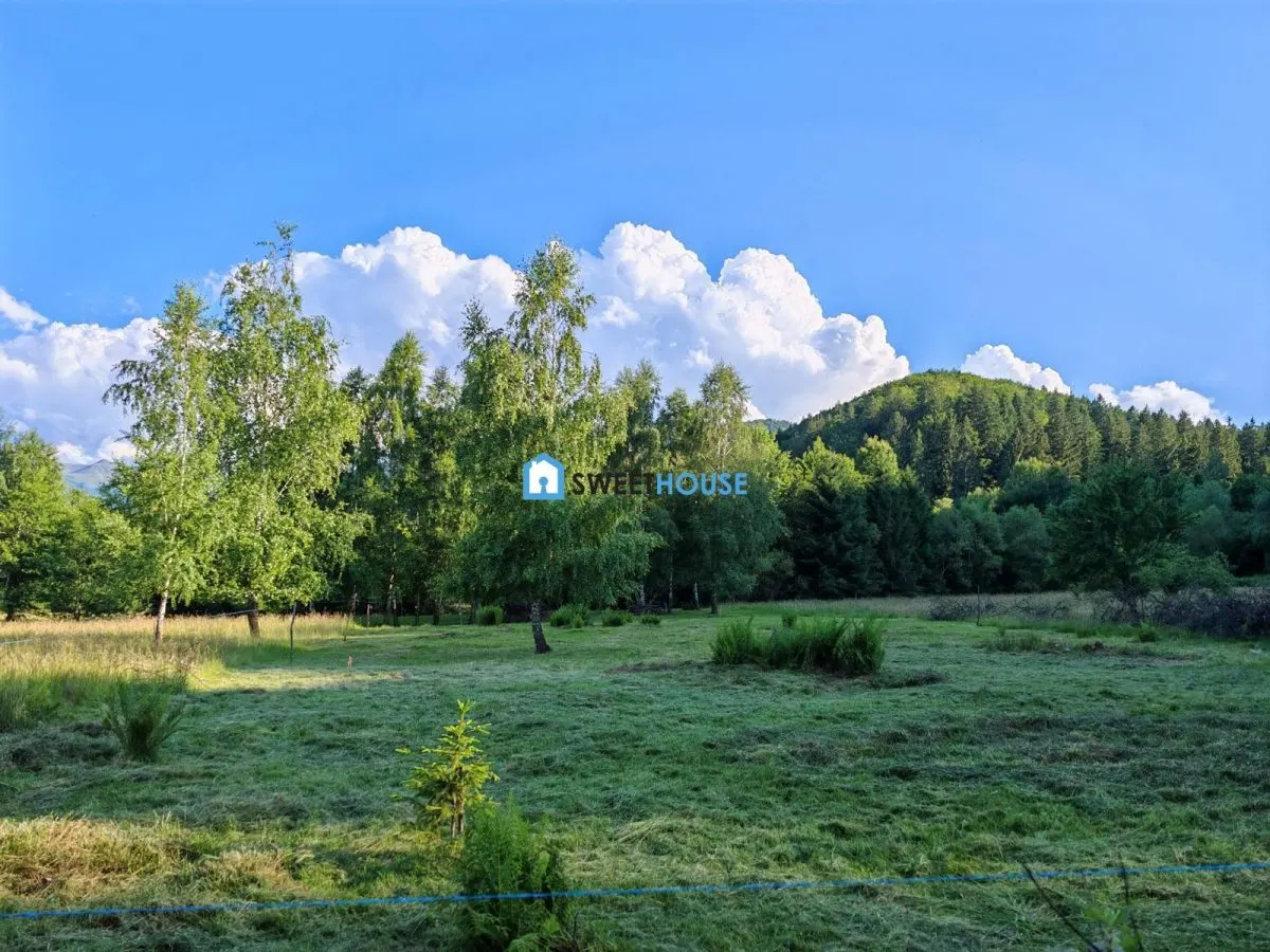TEREN DE VANZARE DEJANI ZONA TURISTICA - foto 5