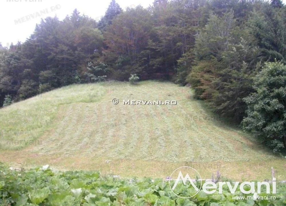 Teren de vanzare in Azuga (zona Semicentrala) - foto 1