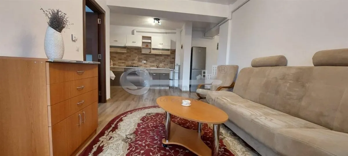 APARTAMENT 2 CAMERE VALEA LUPULUI 360 EURO - foto 4