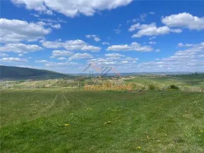 TEREN | BALNACA | 6301MP | BIHOR - Balnaca