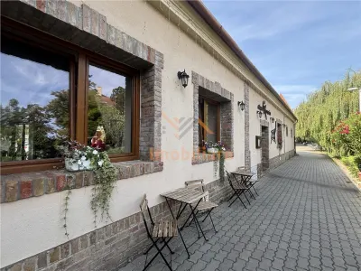 RESTAURANT GYULA | UNGARIA | PANOURI SOLARE | 245 MP |  TERASA PE LAC - Salonta