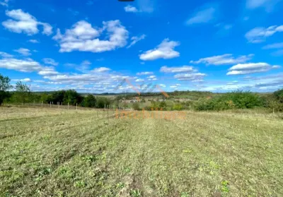 TEREN INTRAVILAN 5.995 MP | COMUNA SUMUGIU | BIHOR - foto 3