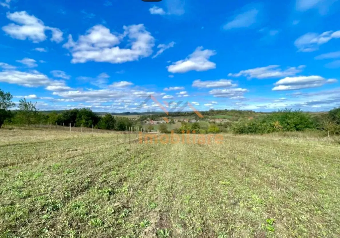 TEREN INTRAVILAN 5.995 MP | COMUNA SUMUGIU | BIHOR - foto 3