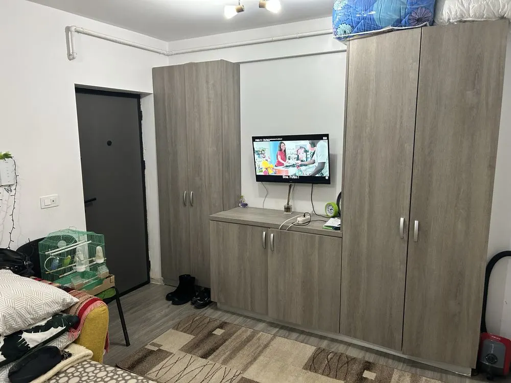 Apartament 1 cameră, Vişan - foto 3