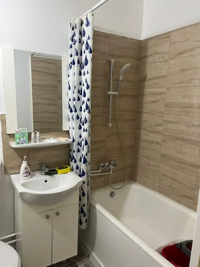 APARTAMENT 1 CAM DECOMANDAT PODU DE FIER ET 2 DIN 4 LIBER - foto 6