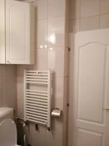 Apartament 2 camere decomandat Nicolina - 450 euro - foto 8